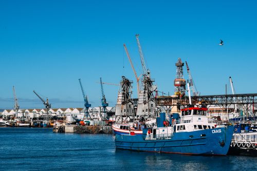 Free Industrial dock with contemporary cranes and moored cargo vessels in blue water in sunlight Stock Photo