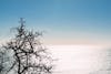 Free Darmowe zdjęcie z galerii z bezlistny, błękitne niebo, błysk Stock Photo