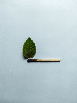 一片绿叶衬在简洁的白色背景上，旁边有一根烧焦的火柴，呼应着生命与火的主题