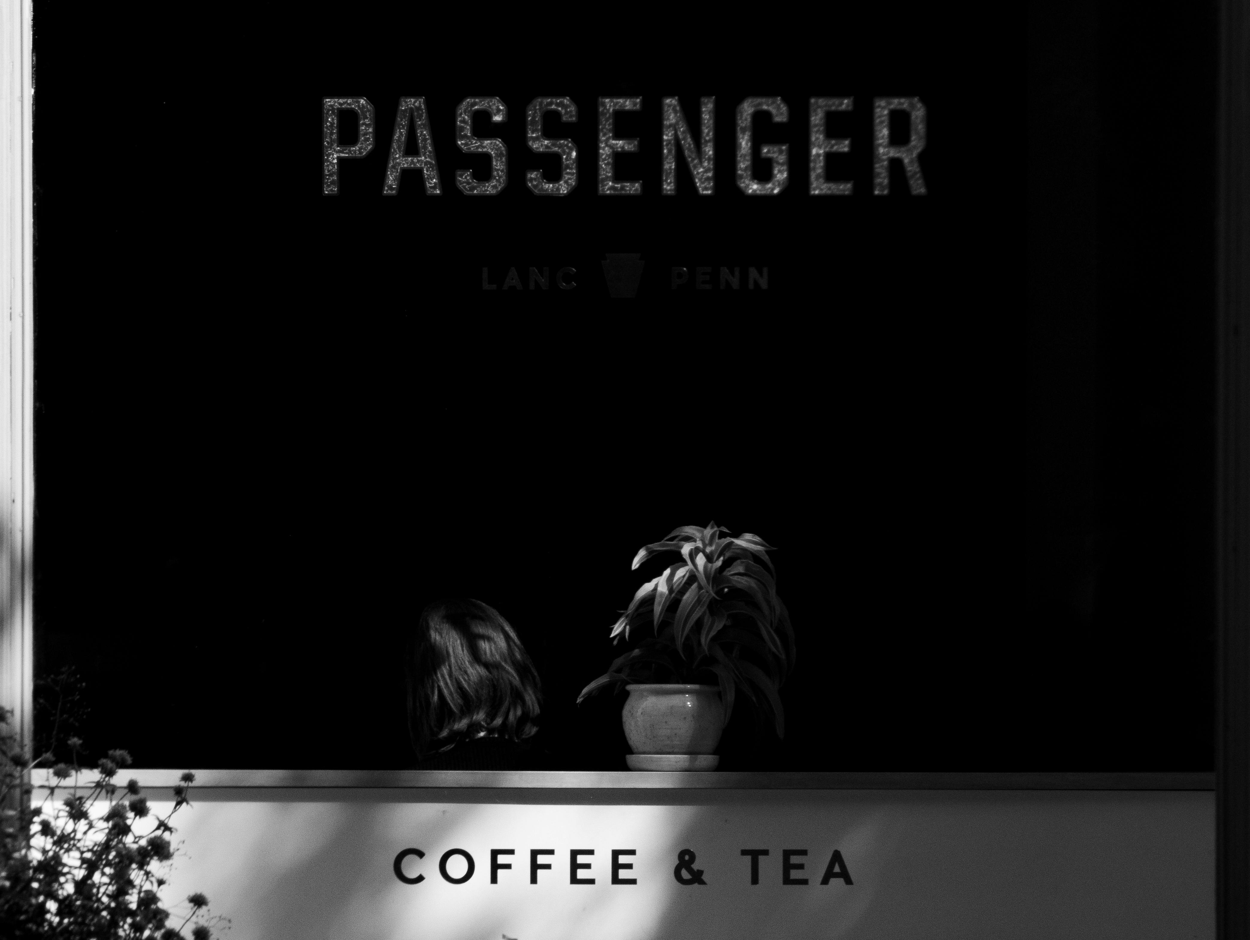 A black and white photo of a coffee shop window with indoor plants and minimalistic design.