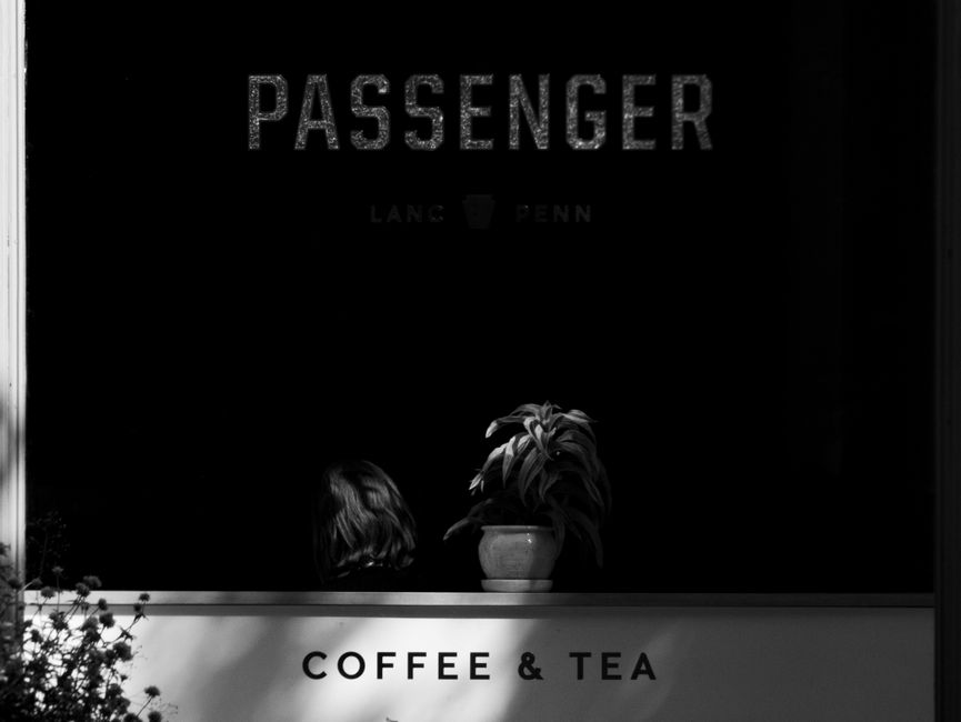 A black and white photo of a coffee shop window with indoor plants and minimalistic design.