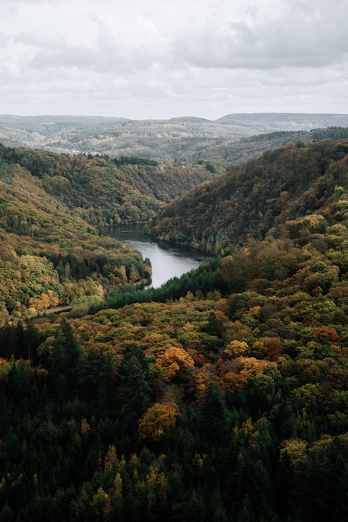 Peaceful river flowing in valley of highlands covered with dense woods under cloudy sky