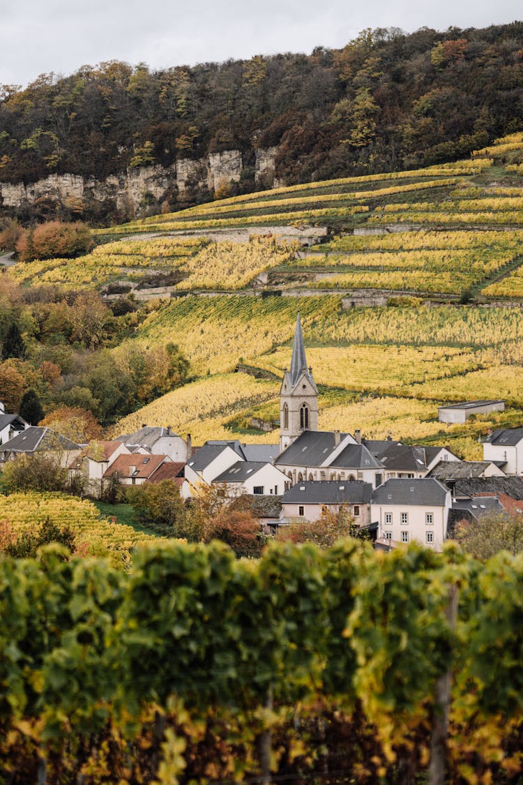 Small Village In Green Valley