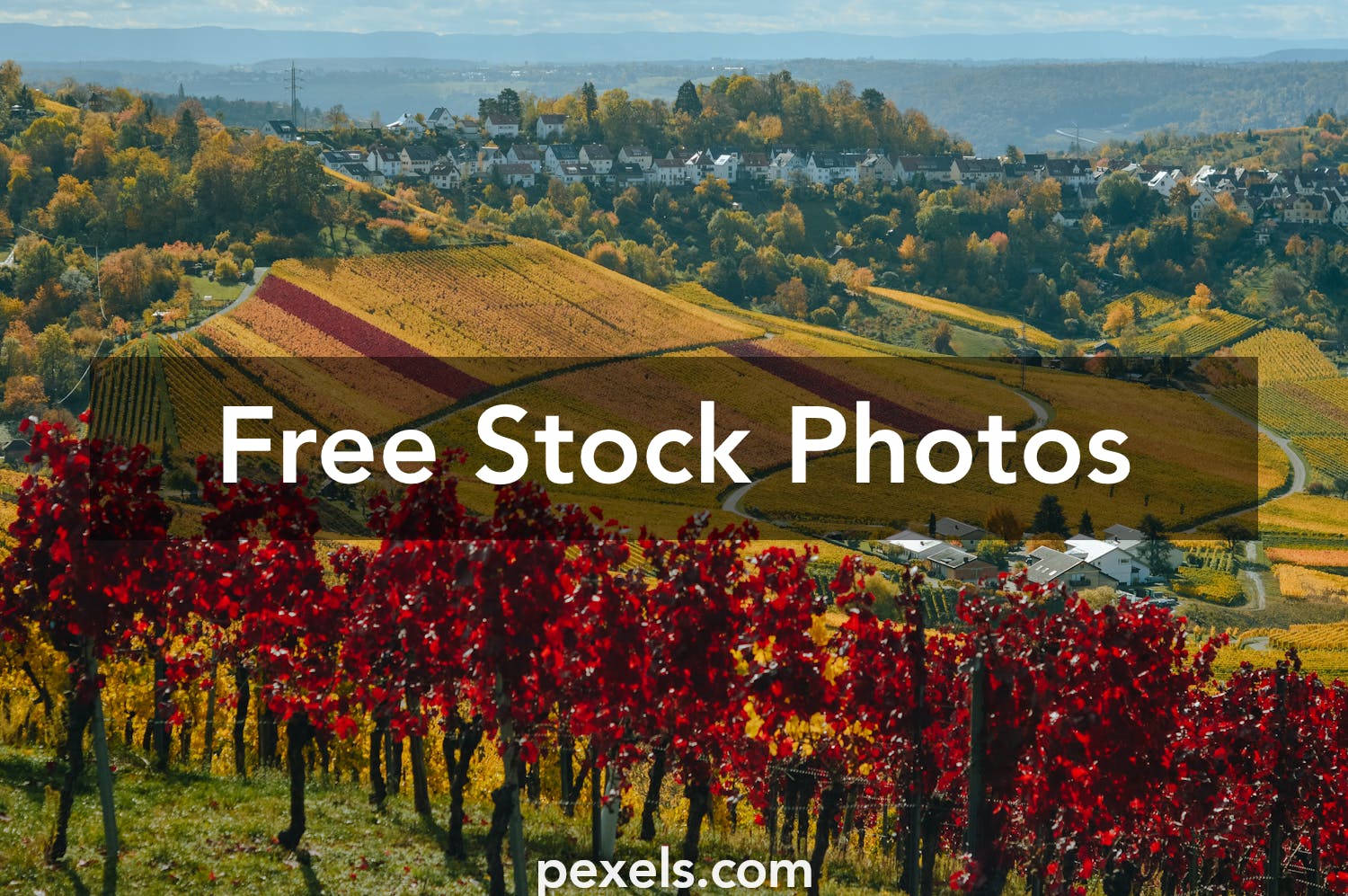1000 Interesting Farm  Landscape Photos  Pexels   Free 