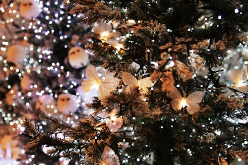 Free Christmas Lights and Butterfly Ornaments on a Christmas Tree Stock Photo