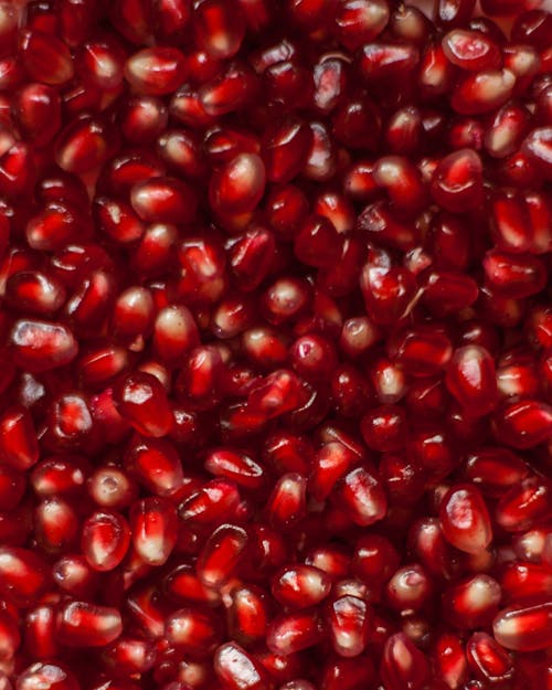 Free A Pile of Pomegranate Seeds Stock Photo