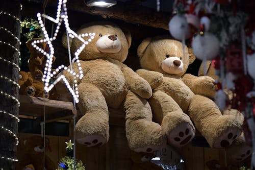 Photograph of Brown Teddy Bears