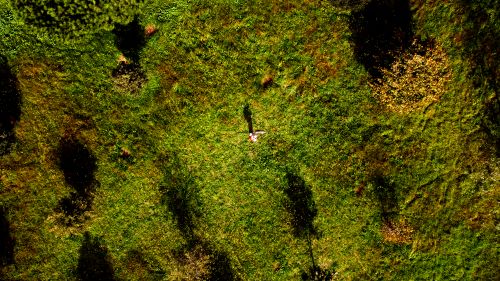Free stock photo of autumn, colors of autumn, drone Stock Photo
