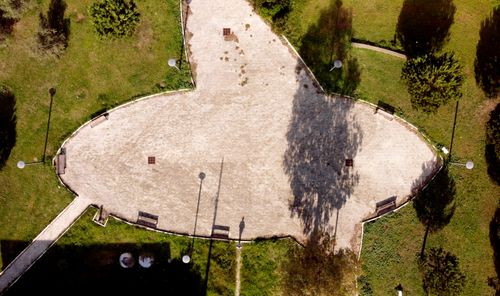 Free stock photo of plaza, shadows, trees Stock Photo