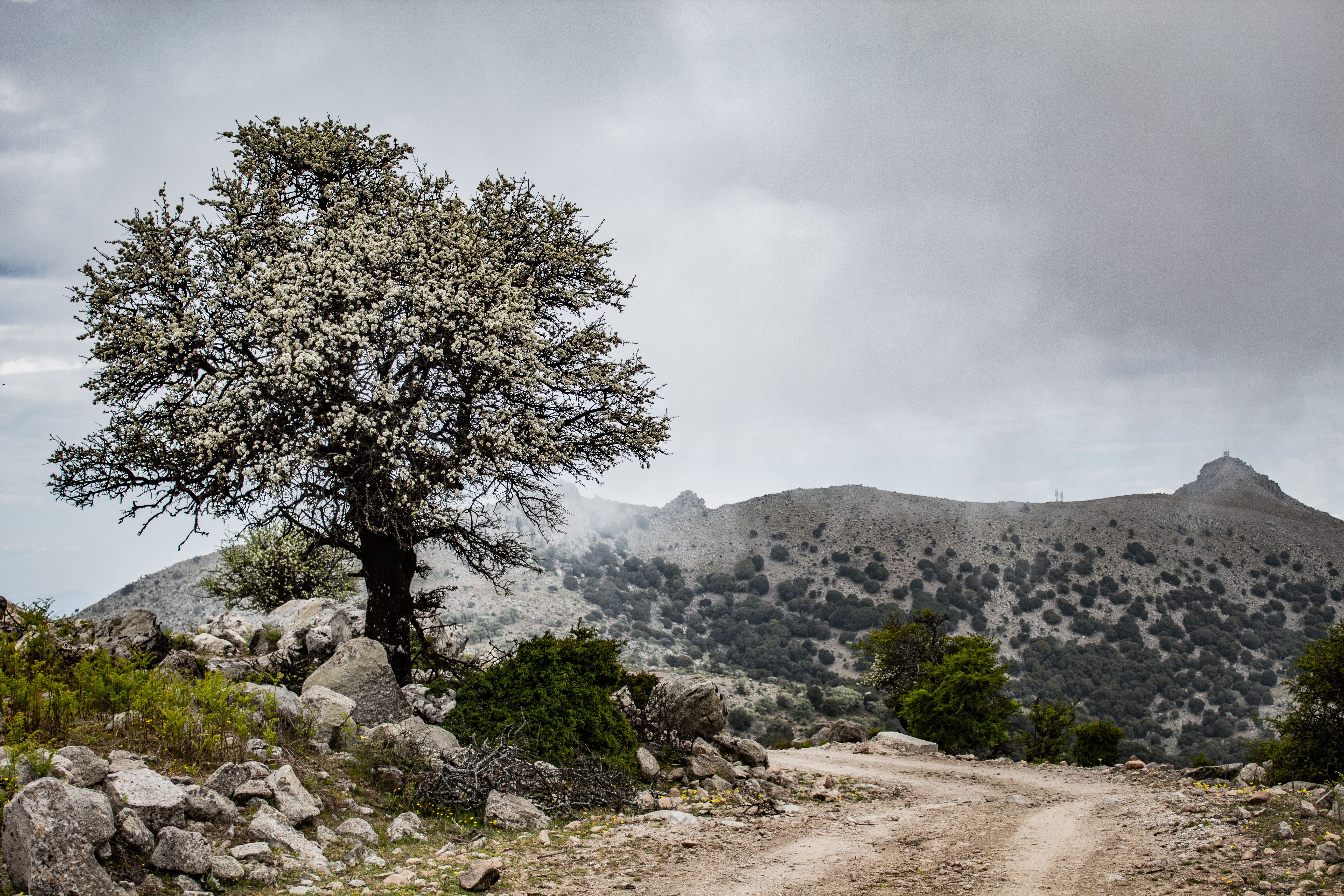 Loutro — Loutro