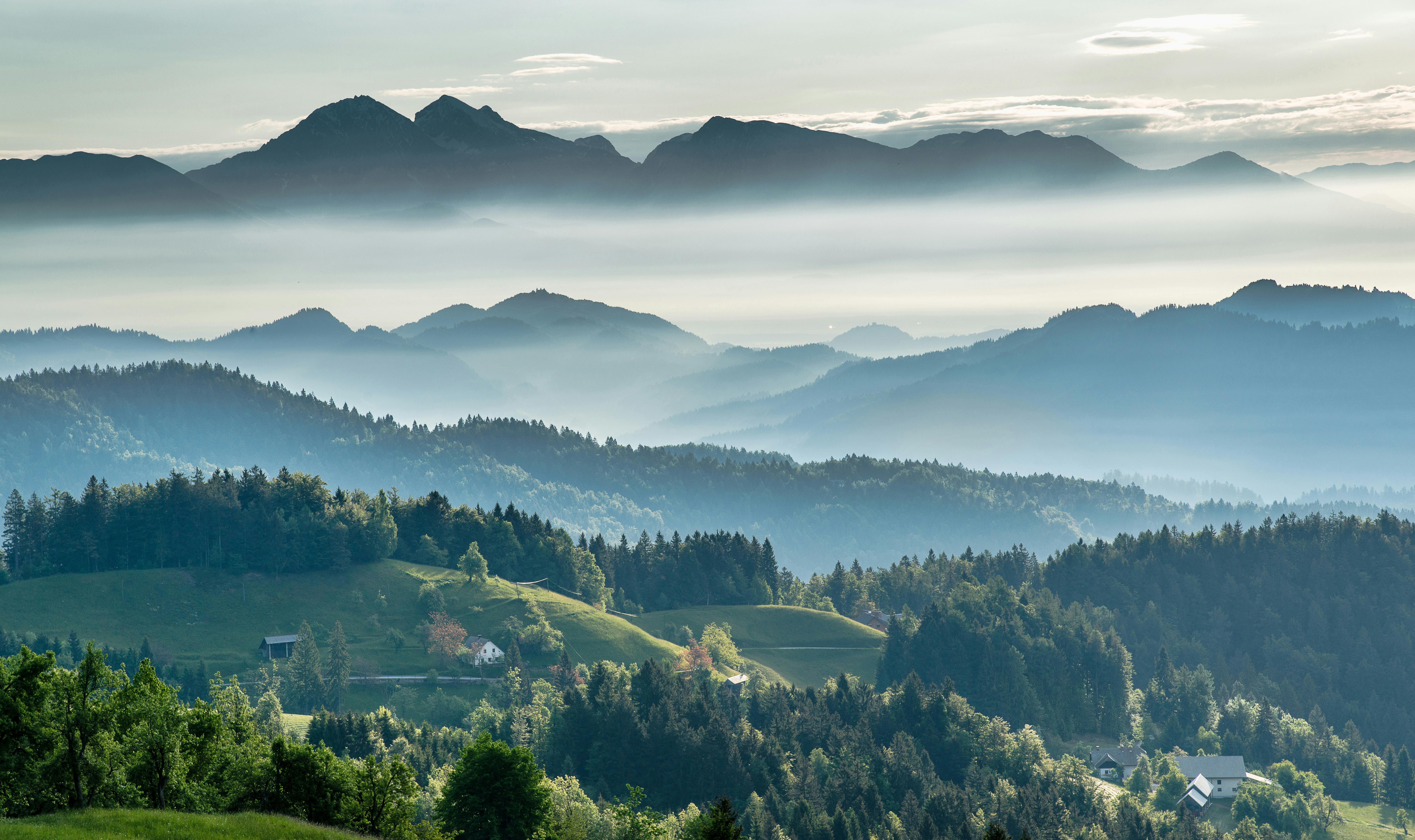 Mountainous valley with evergreen forest against misty sky