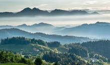 Mountainous valley with evergreen forest against misty sky