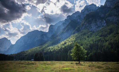 Imagine de stoc gratuită din Alpi, cale, câmp
