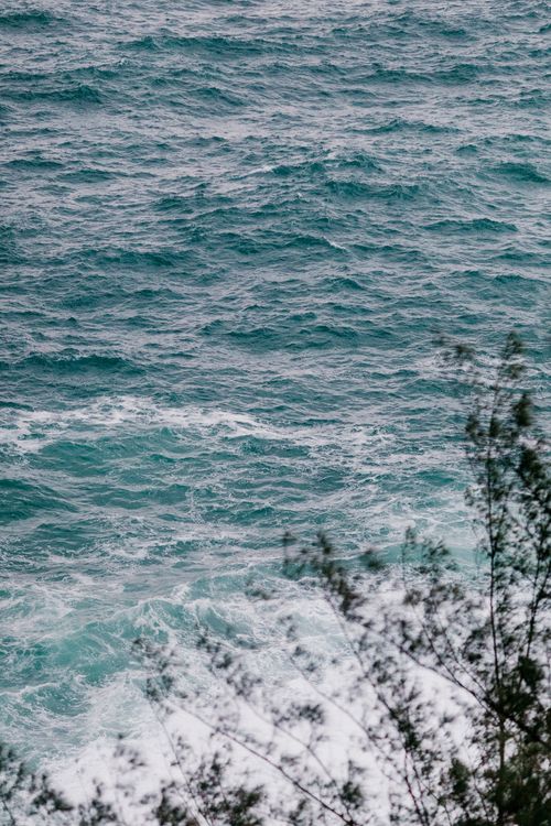 Free From above of green delicate plants growing near picturesque sea with turquoise water and powerful foamy waves on rainy day Stock Photo