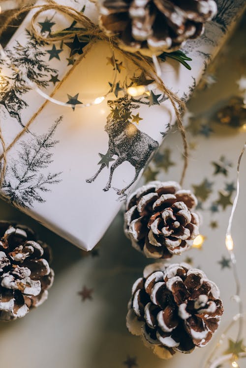 Close-up Photo of a Christmas Gift and Pine Cones 