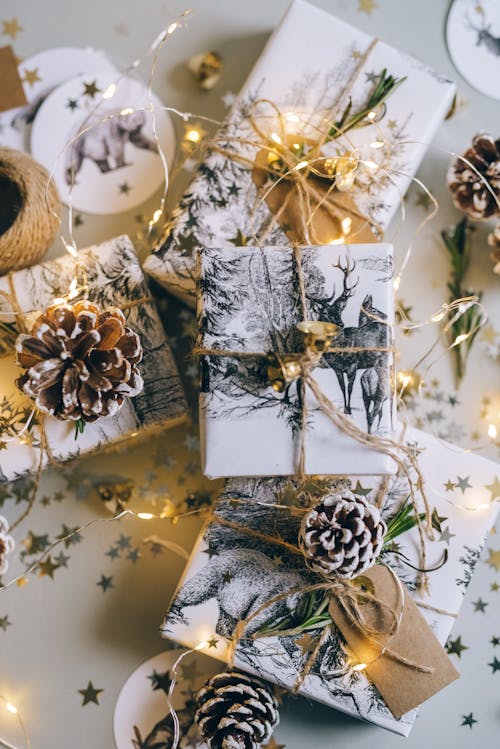 Close-up Photo of a Christmas Gifts and Pine Cones