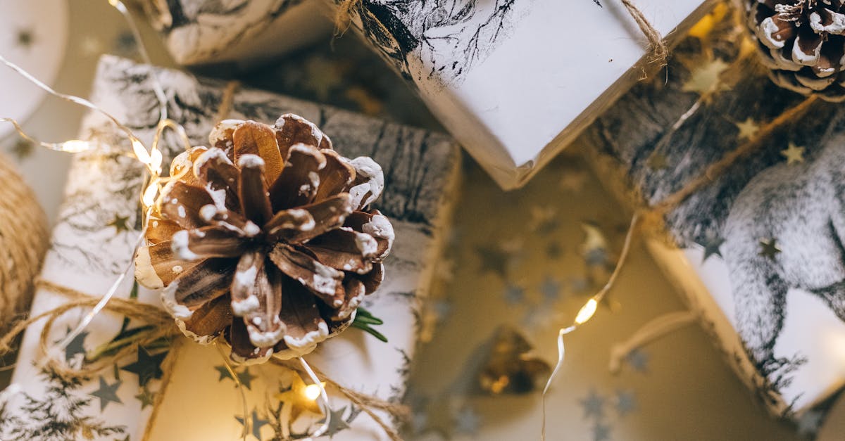 How do you spell presents as in being there