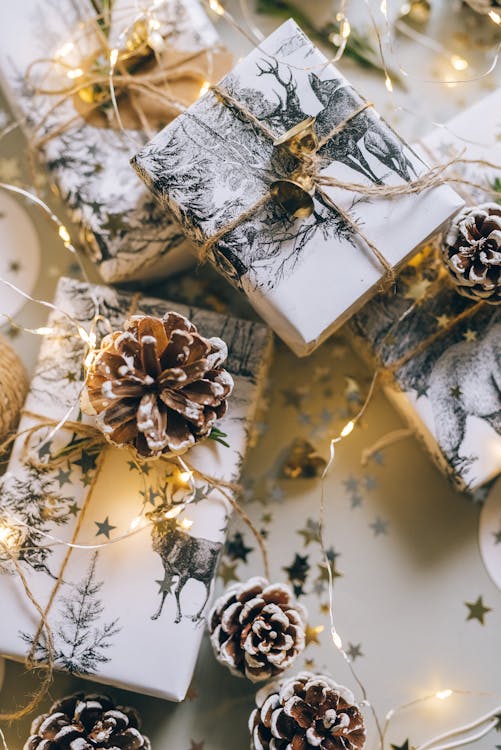 Photograph of Gift Boxes Near Pine Cones