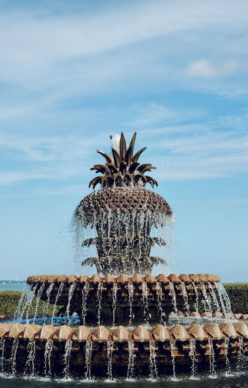 Pineapple Water Fountain in North Carolina
