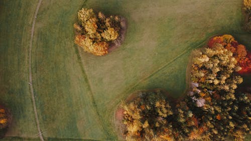 Бесплатное стоковое фото с ботаника, вид с квадрокоптера, вид сверху