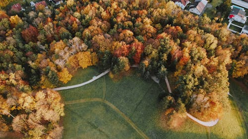 Gratis lagerfoto af efterår, høj vinkel visning, luftfotos
