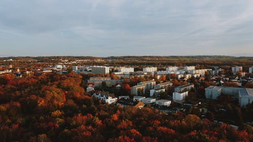 Picturesque scenery of autumn forest near apartment houses in city under overcast sky