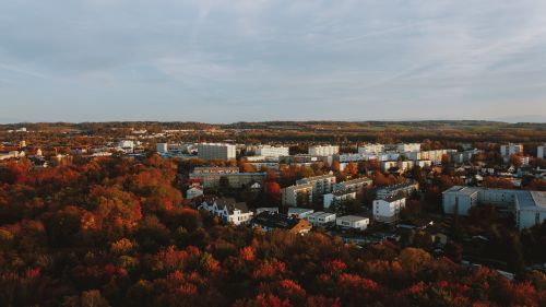 Free Picturesque scenery of autumn forest near apartment houses in city under overcast sky Stock Photo