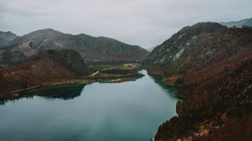 Gratis arkivbilde med årstid, ås, bakkeskråning