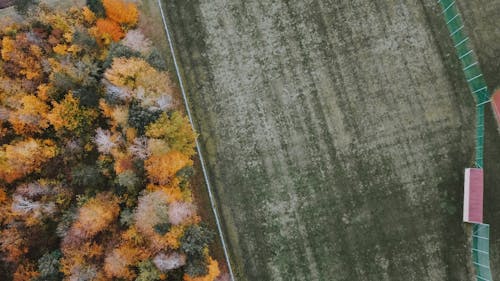 Wide road with fence near forest