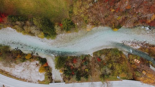 Transparent river between vegetation in fall