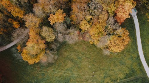 Fotos de stock gratuitas de aéreo, al aire libre, árbol