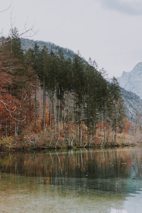 Spectacular landscape of mixed forest on hills behind crystal clear water of river in fall