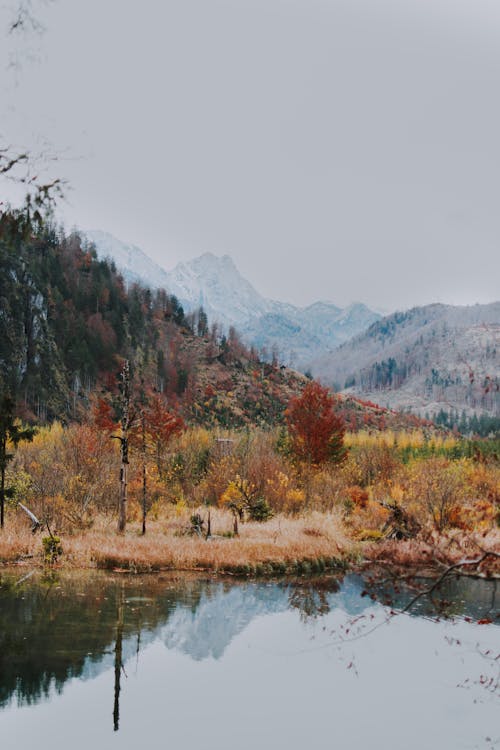 Spectacular landscape of calm pond in highland with lush vegetation in fall day