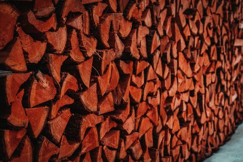 Close-Up Photo of Stacks of Chopped Wood