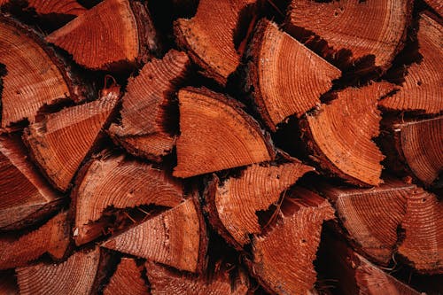 Close-Up Photo of a Pile of Brown Chopped Wood