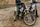 sports bike