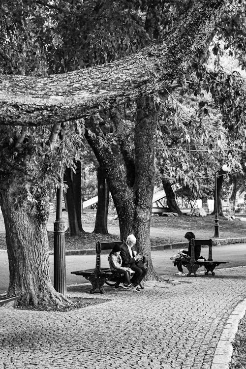 Grayscale Photo of People Sitting on Benches Beside Trees