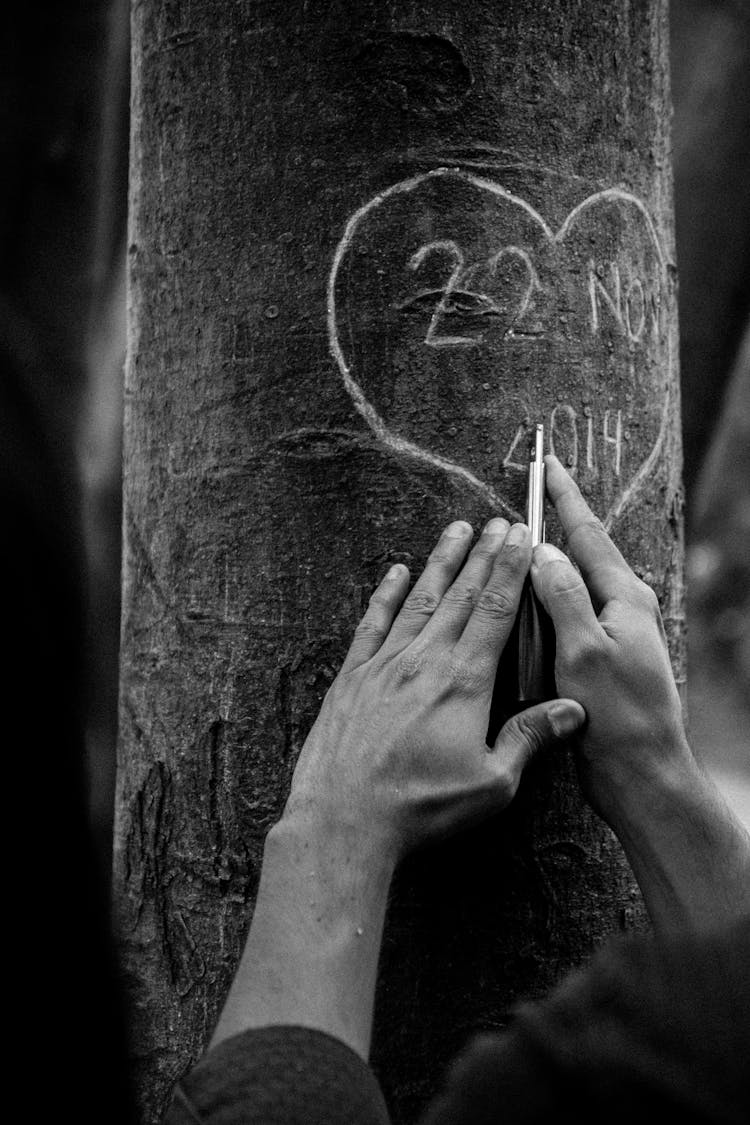 Hands Of A Man Carving A Heart Into Tree Bark