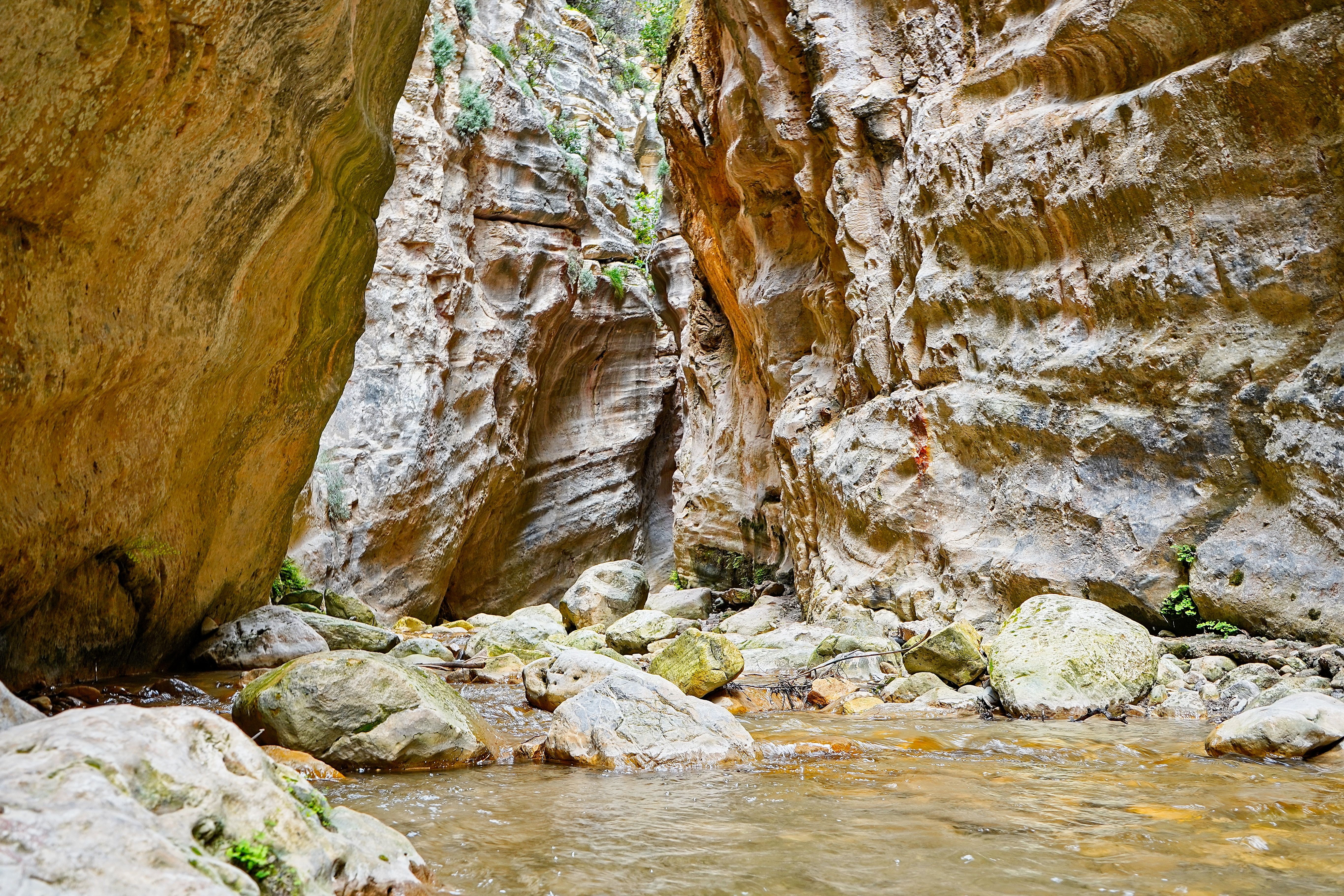 Cueva de Minateda Rock Art