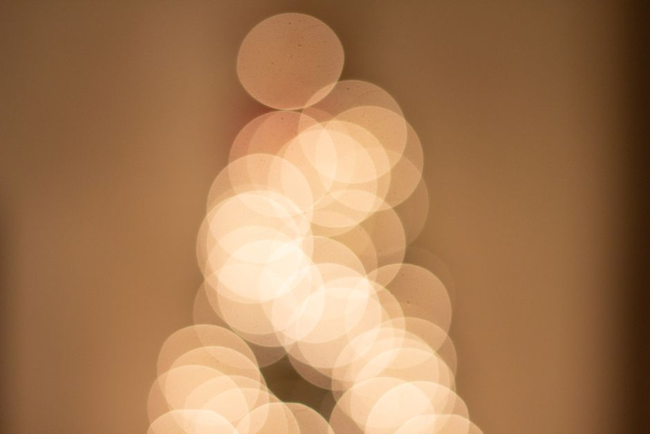 Comparação entre bokeh cremoso e bokeh nervoso em objetivas diferentes