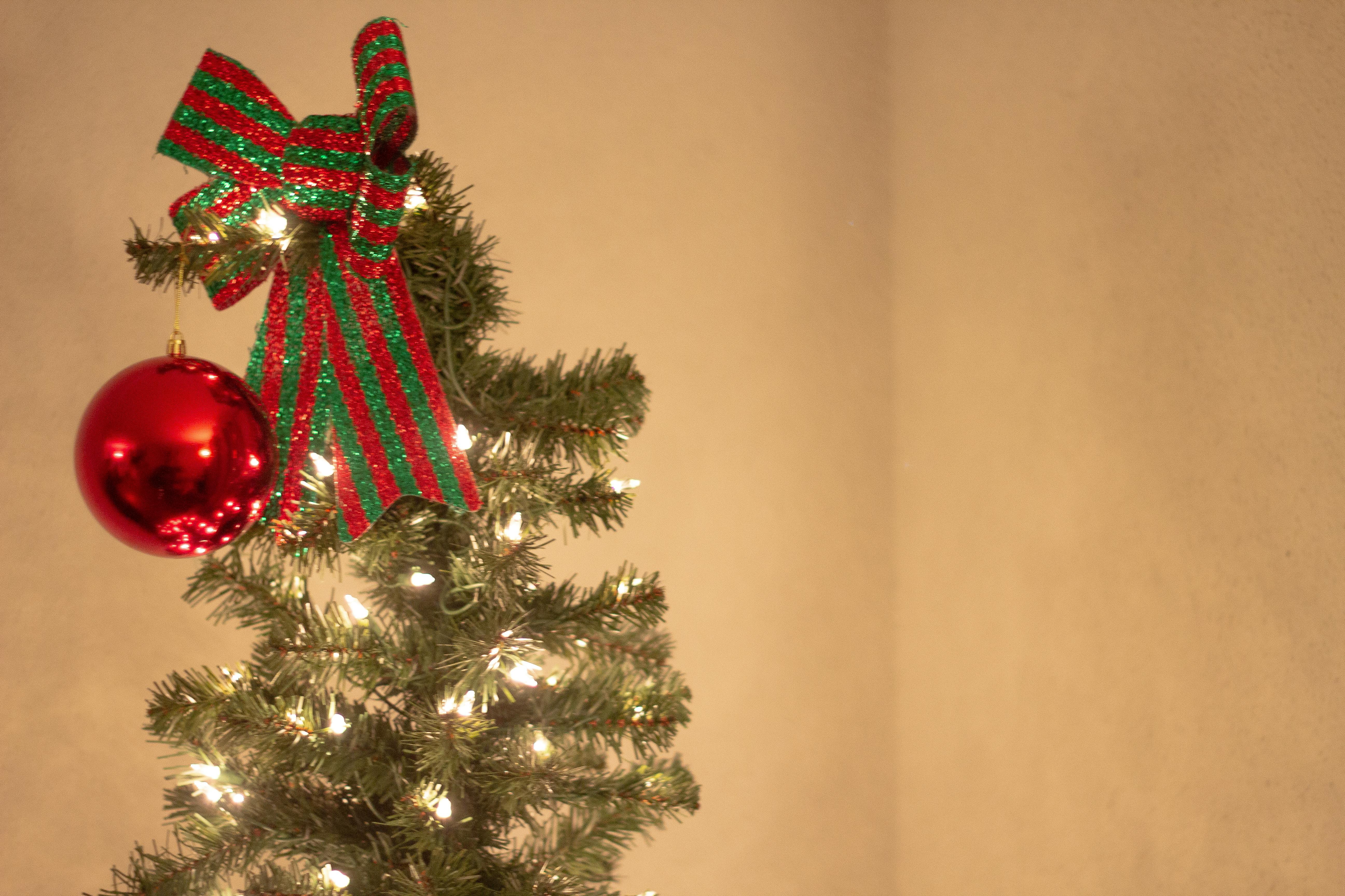 Free stock photo of christmas, christmas tree, lights