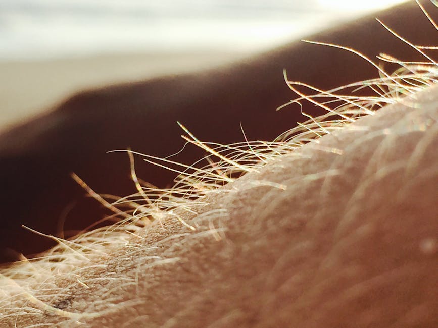 Detailed close-up of arm hair illuminated by sunlight, highlighting texture and warmth.