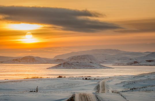 Snow Covered Field