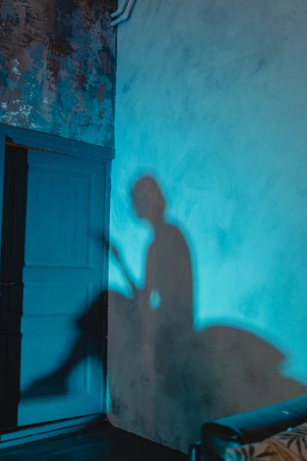 Eerie shadow silhouette on a textured, dimly lit wall, creating a mysterious ambiance.