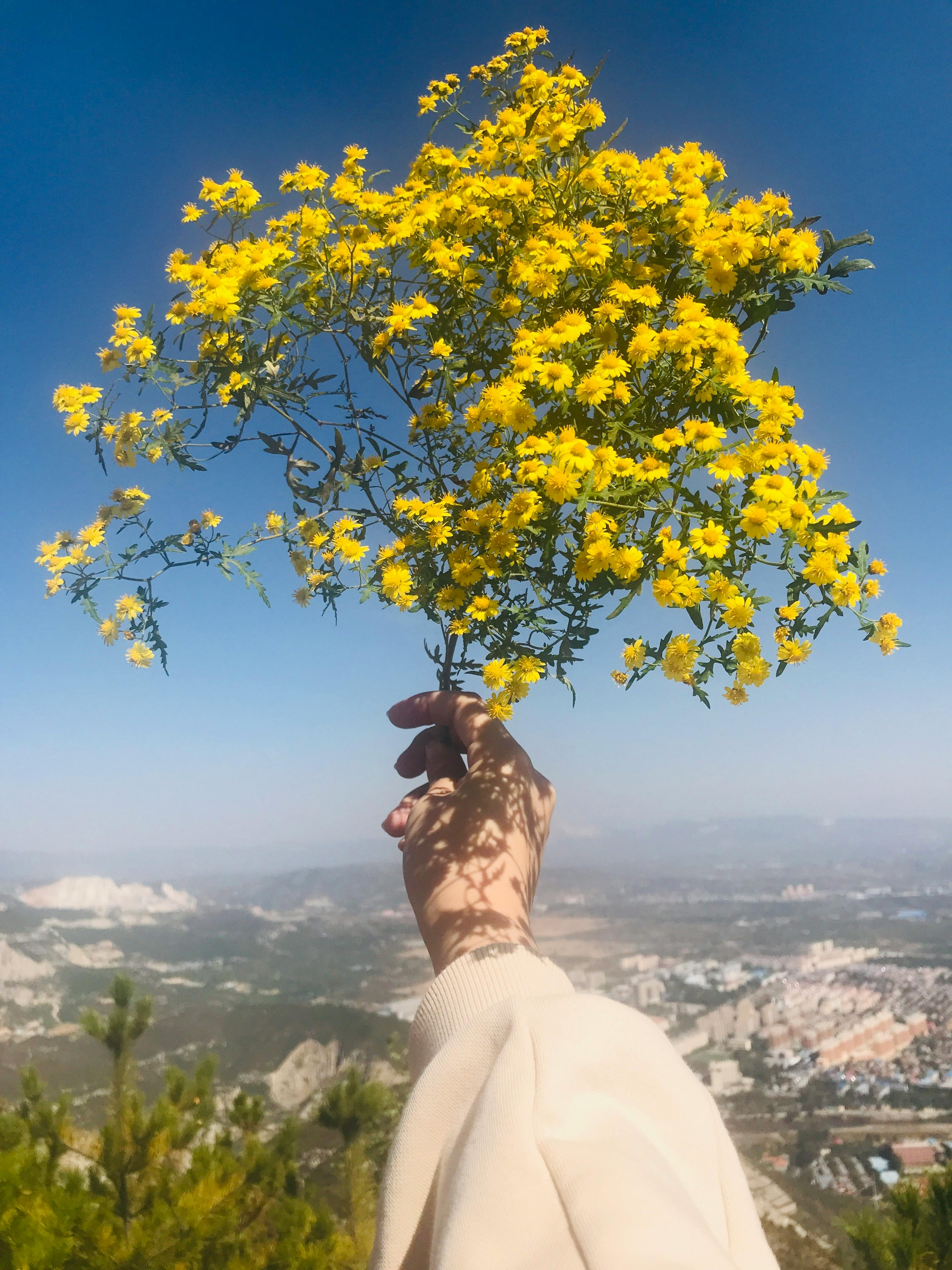 A vibrant bouquet of yellow flowers held against a scenic mountain landscape in daylight.