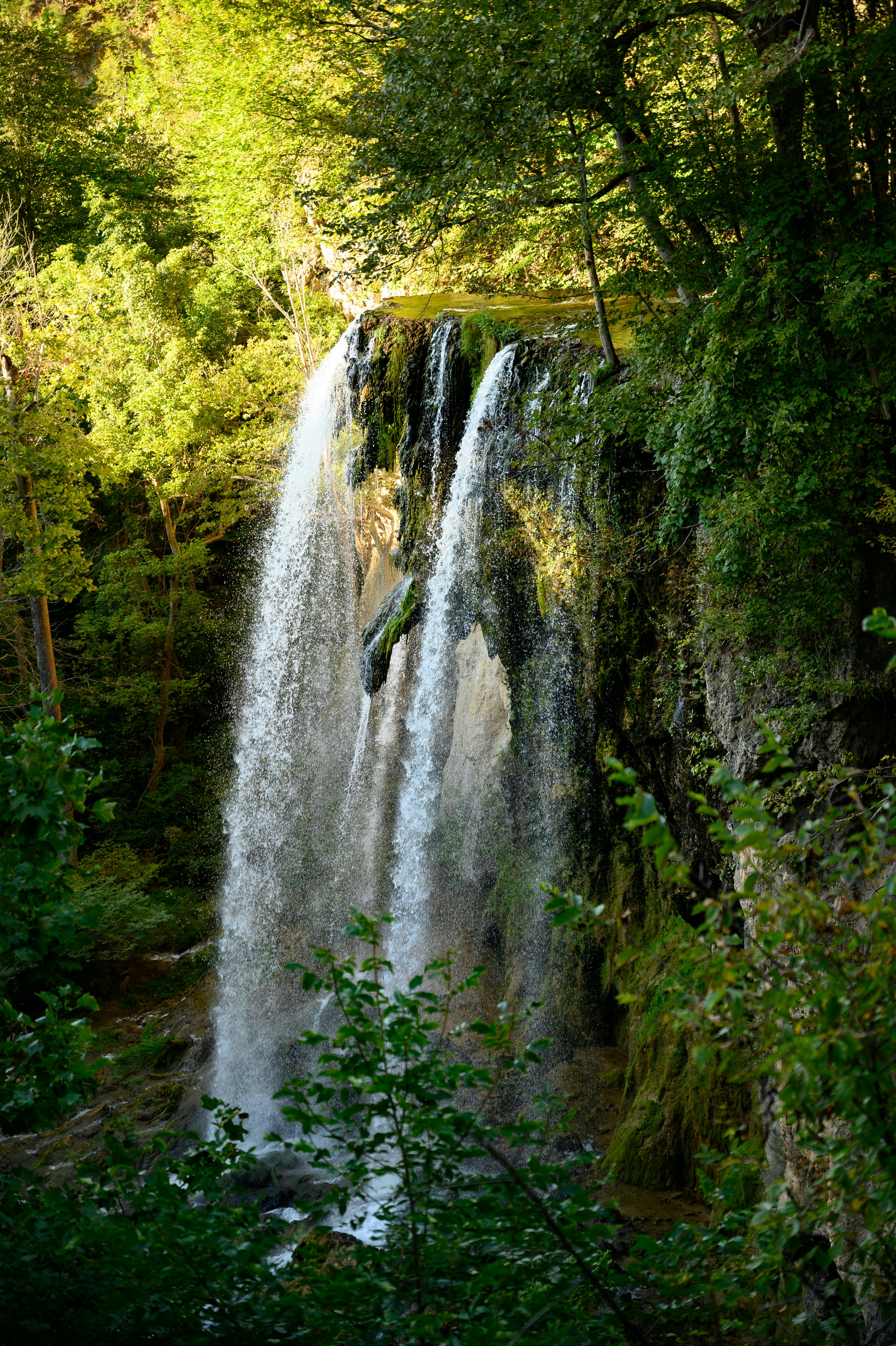 waterfall in a green forest