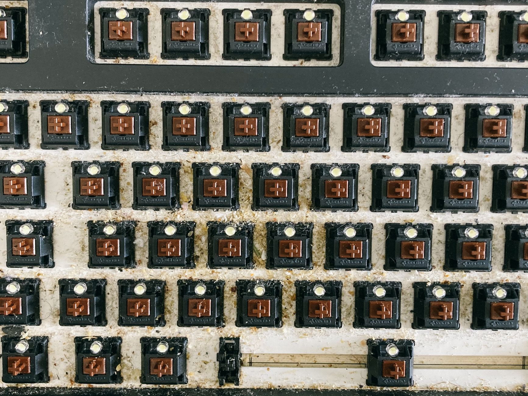 Modular Keyboards vs Prebuilt Keyboards: Which Should You Choose?