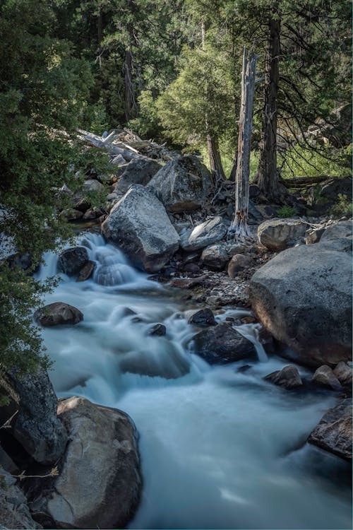 Waterfall in Mountain Rock Forest