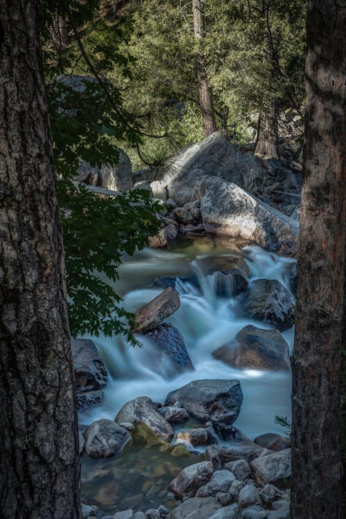 grátis Foto profissional grátis de água corrente, árvores, cachoeira Foto profissional