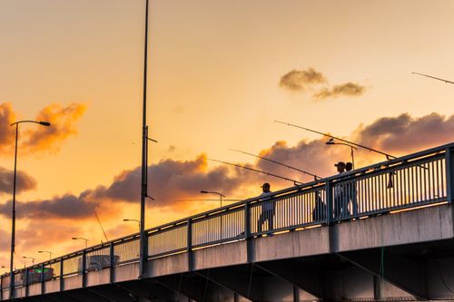 Free People with fishing rods on a bridge silhouetted against a vibrant sunset sky. Stock Photo